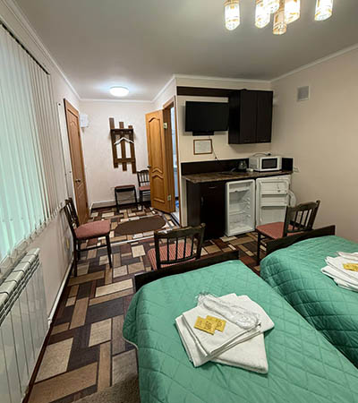 Двухместный номер Студия (четвертая) 18 м²  в отеле Турист, Луга -  кухня