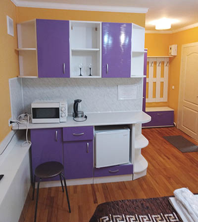 Двухместный номер Студия (вторая) 18 м²  в отеле Турист, Луга - кухня