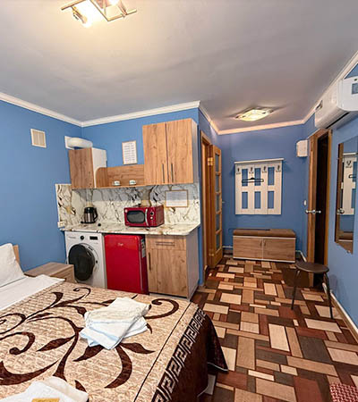 Двухместный номер Студия 18 м²  в отеле Турист, Луга - кухня